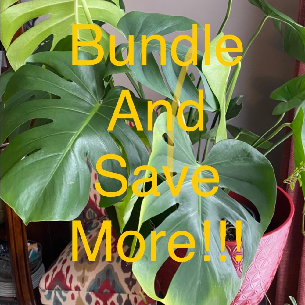 BUNDLE BUNDLE BUNDLE